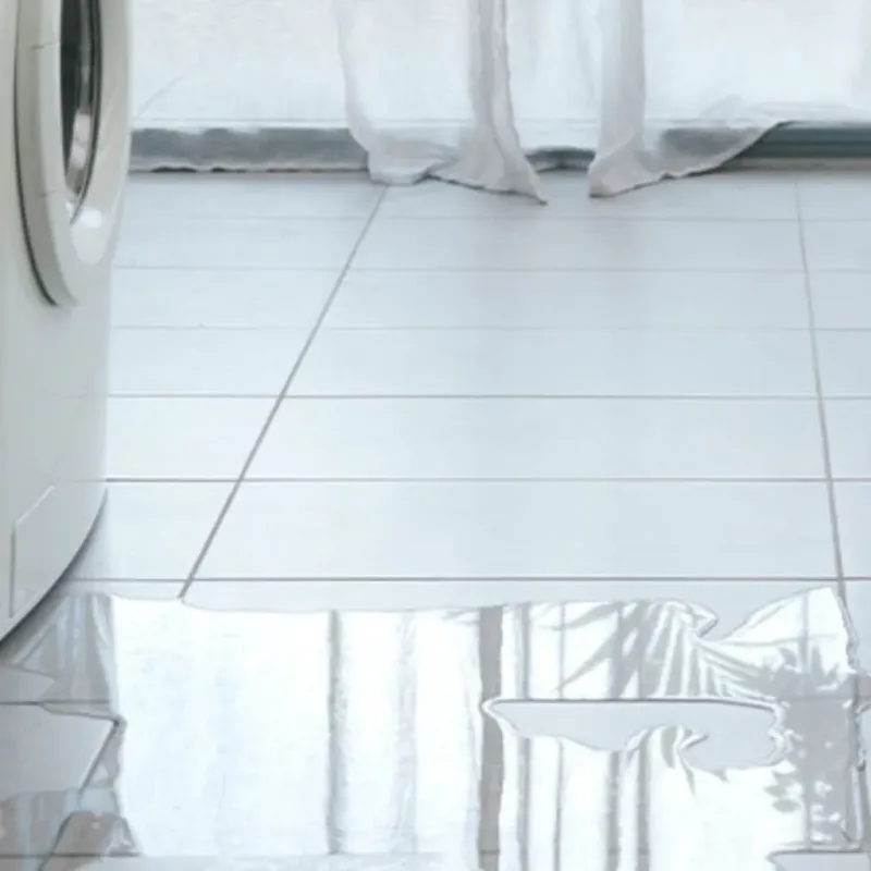 Appliance Leak Cleanup in Bargersville, IN