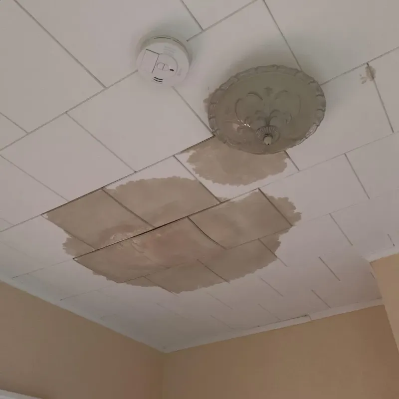 Ceiling Water Damage Repair in Bargersville, IN
