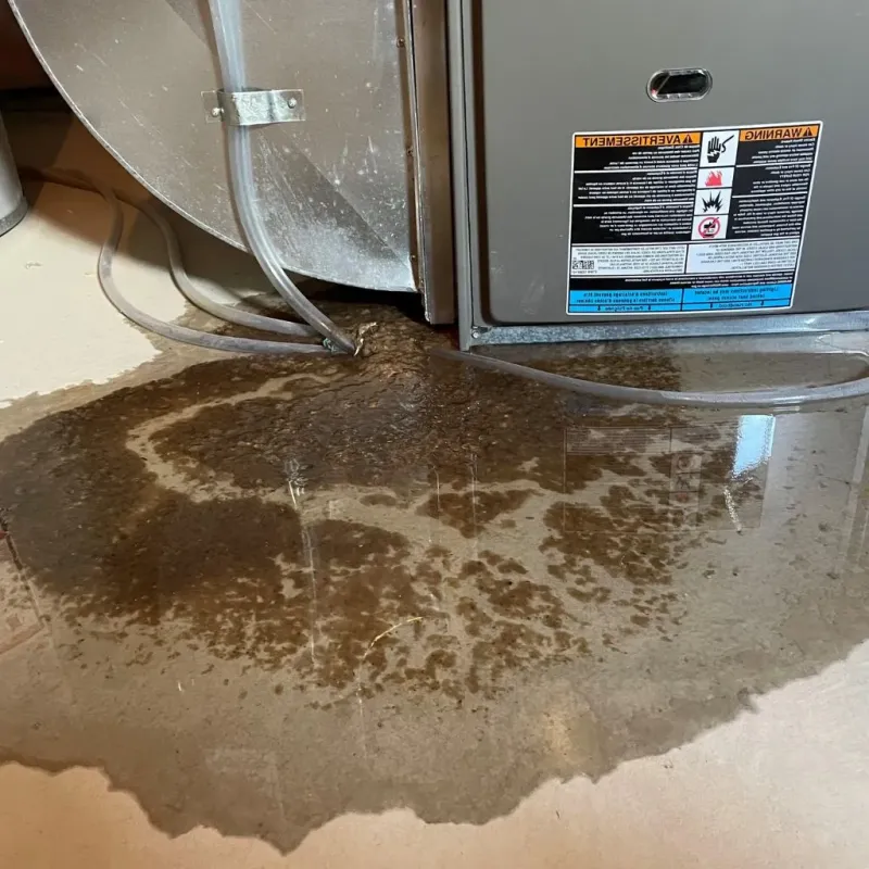 Pipe Burst and Leak Restoration in Bargersville, IN
